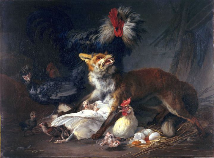 2014 Portrait Fox in a Chicken Yard